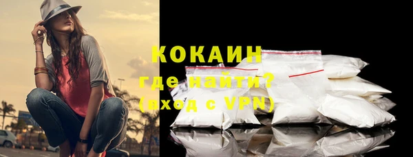 прущие грибы Абаза