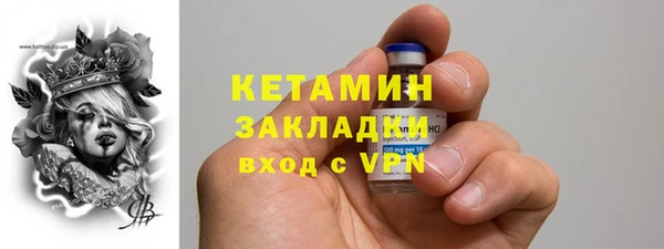прущие грибы Абаза