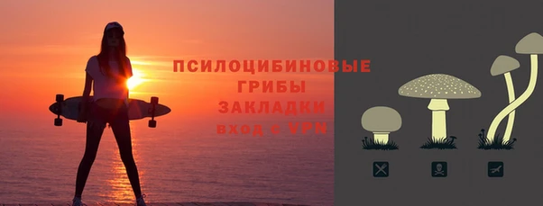 первитин Новозыбков