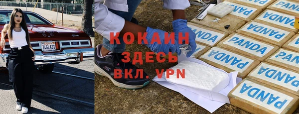 прущие грибы Абаза
