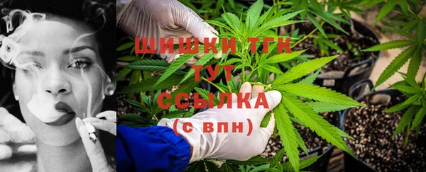 прущие грибы Абаза