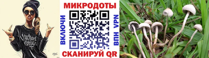 Галлюциногенные грибы Cubensis  Кандалакша 
